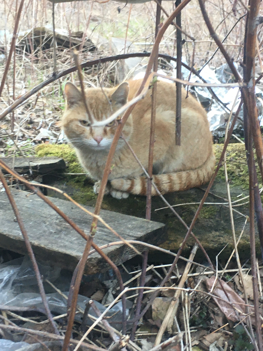 Не очень был красив 