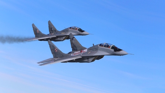    В Польше намекнули на возможность передачи Украине МиГ-29 в скором времени Виктория Шварц