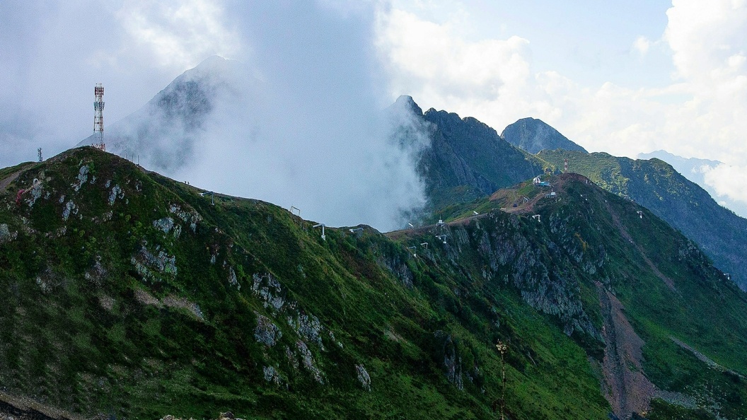    Фото: Roman Denisov/Globallookpress