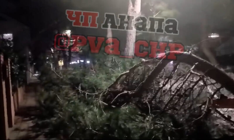    Фото t.me/pva_chp