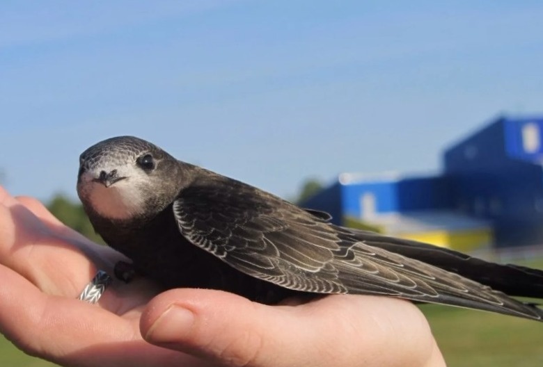 Перед вылетом надо сделать привал.