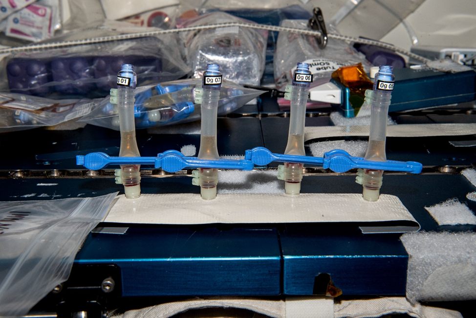 Образцы по эксперименту Immunity Assay. Фото: nasa.blog.com