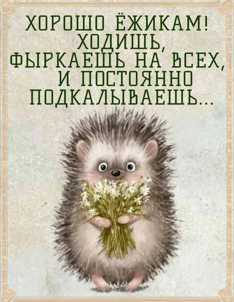 Картинка из интернета. Для иллюстрации статьи. И для визуализации настроения.