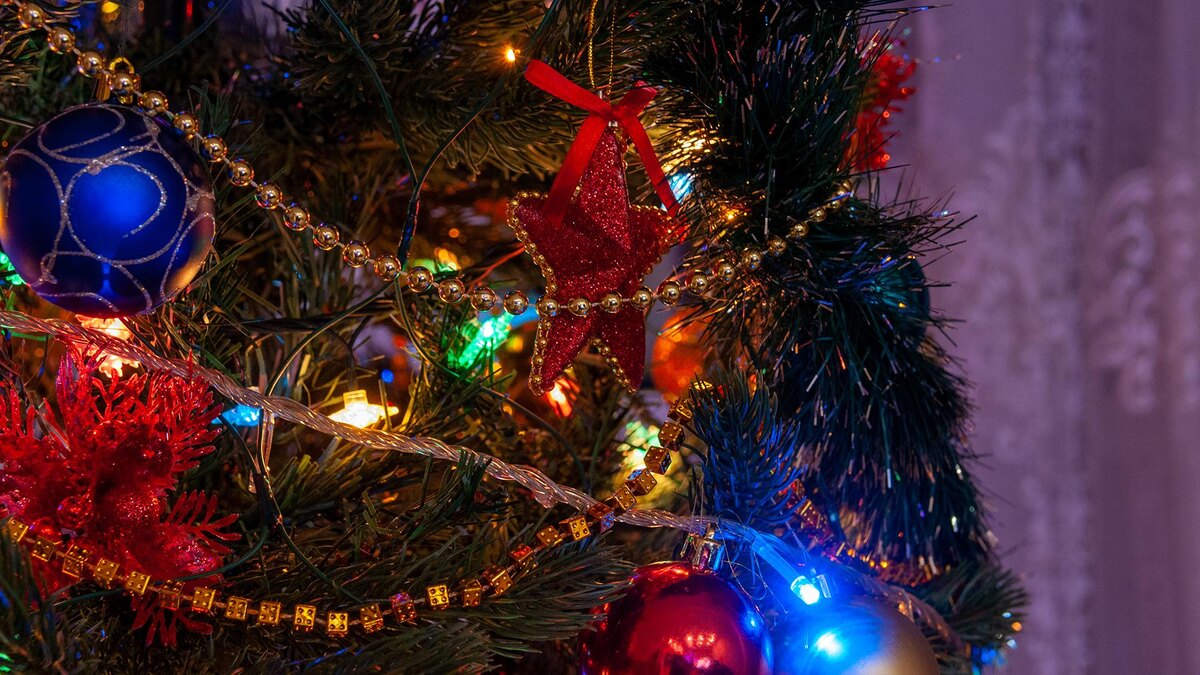 Фото: Svetlana Vozmilova/globallookpress.com