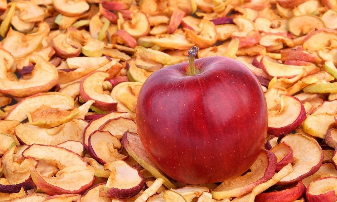 Взрослым кроликам можно давать сушёные яблоки раз в неделю в количестве не более 1–2 ломтиков в день. 