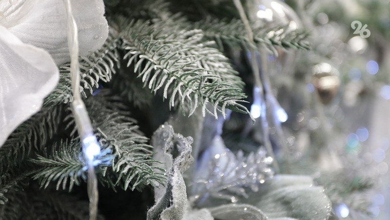      Фото: ИА «Победа26»