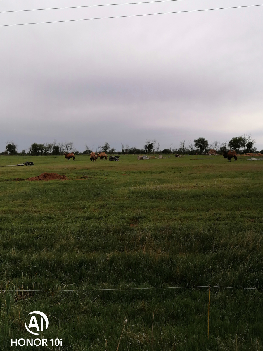 Фото из личного архива