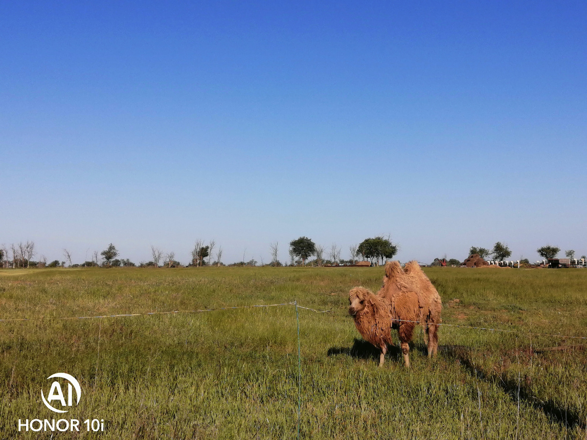Фото из личного архива