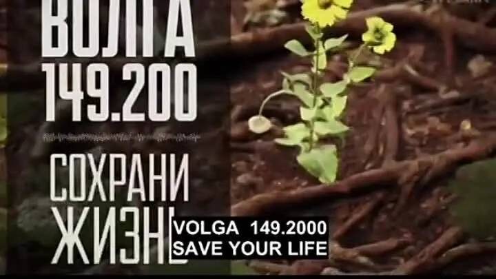   Фото: стоп-кадр видео, размещенного в ОК