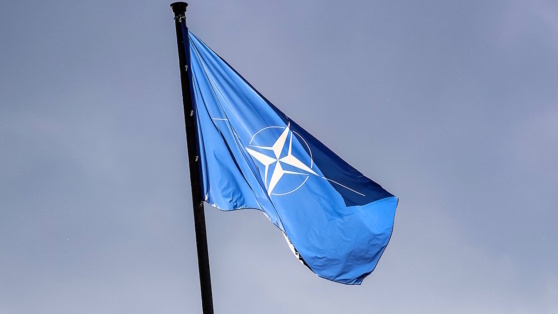    НАТО переняла от США координацию доставки военной помощи Киеву Роман Захаров