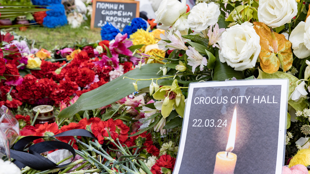    Фото: Aleksey Smyshlyaev/Global Look Press/Globallookpress