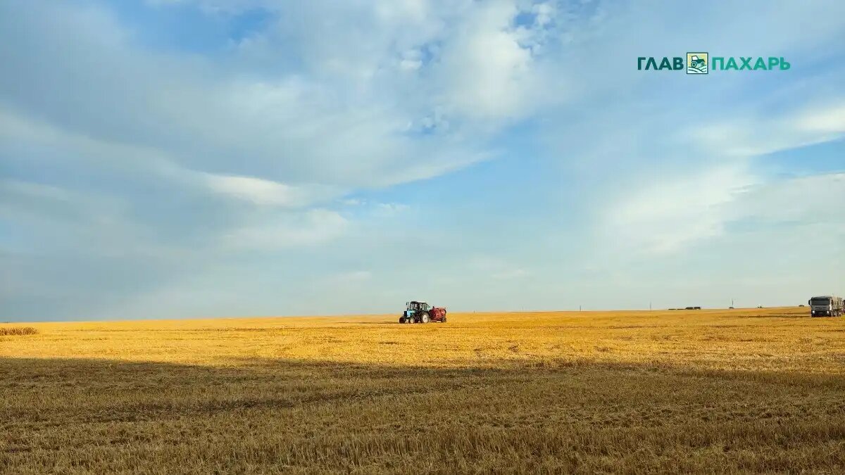 Фото: © Артем Борисов / Glavpahar.ru
Сегмент малых тракторов (фото иллюстративное)