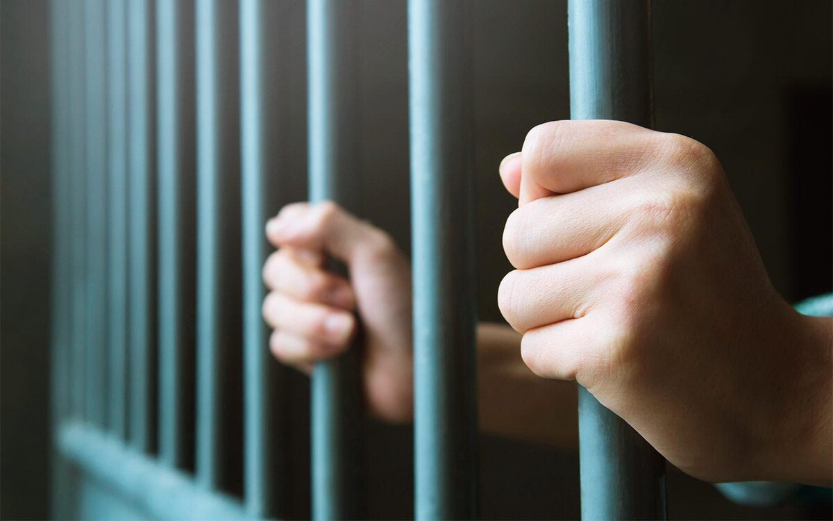    Фото: pixabay.ru