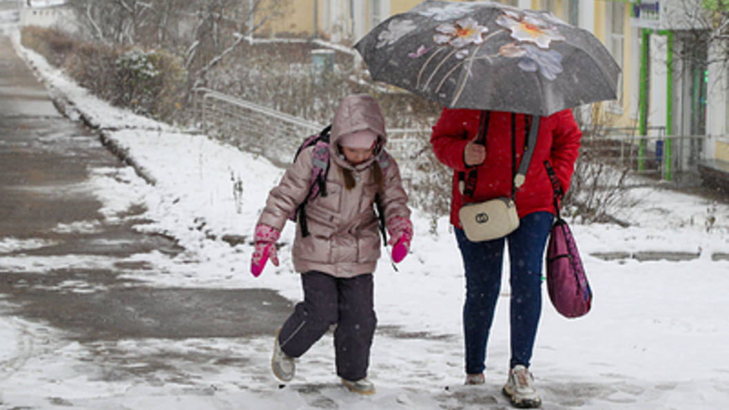    Фото: Belkin Alexey/Globallookpress.