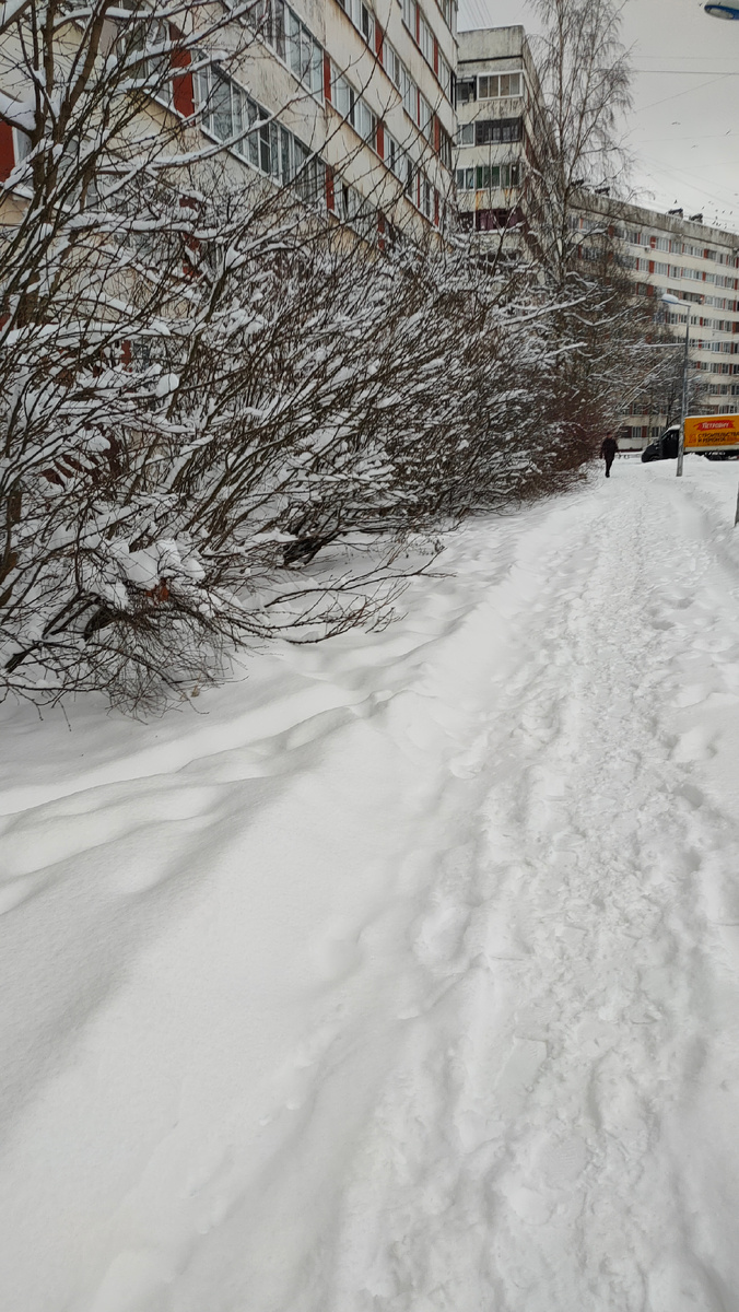 Фото автора 