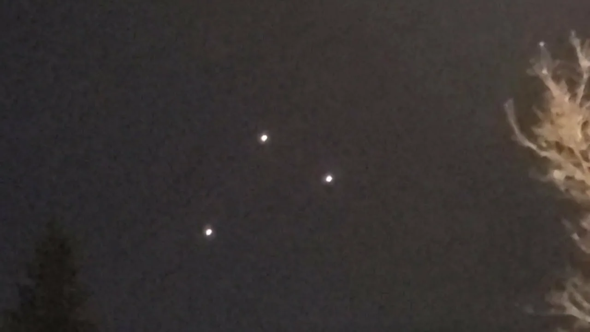 Фото из Яндекса