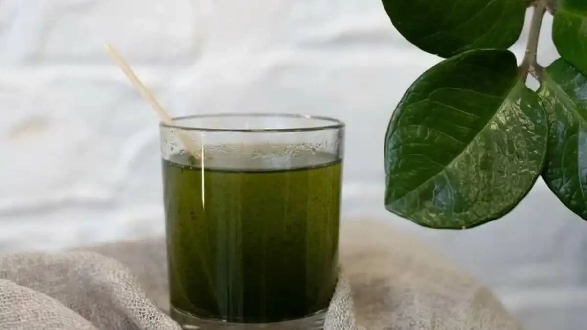 Фото:apk.kostroma.gov.ru
«Миниферма» из Костромы выпускает сок из ростков пшеницы для здоровья и красоты