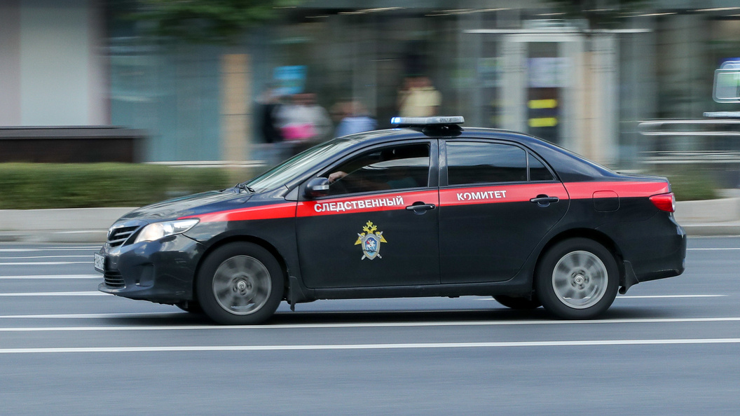    Фото: Bocharov Denis/Globallookpress