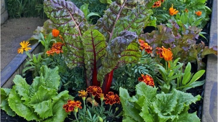 Фото с pinterest.com