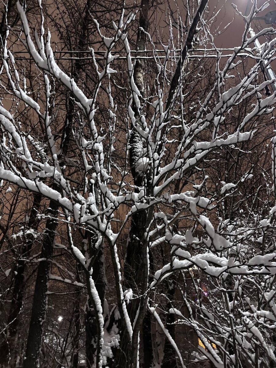 © Форпост Северо-Запад
© Форпост Северо-Запад
© Форпост Северо-Запад