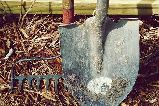    Неспособных оплатить штрафы украинцев будут направлять на общественные работы