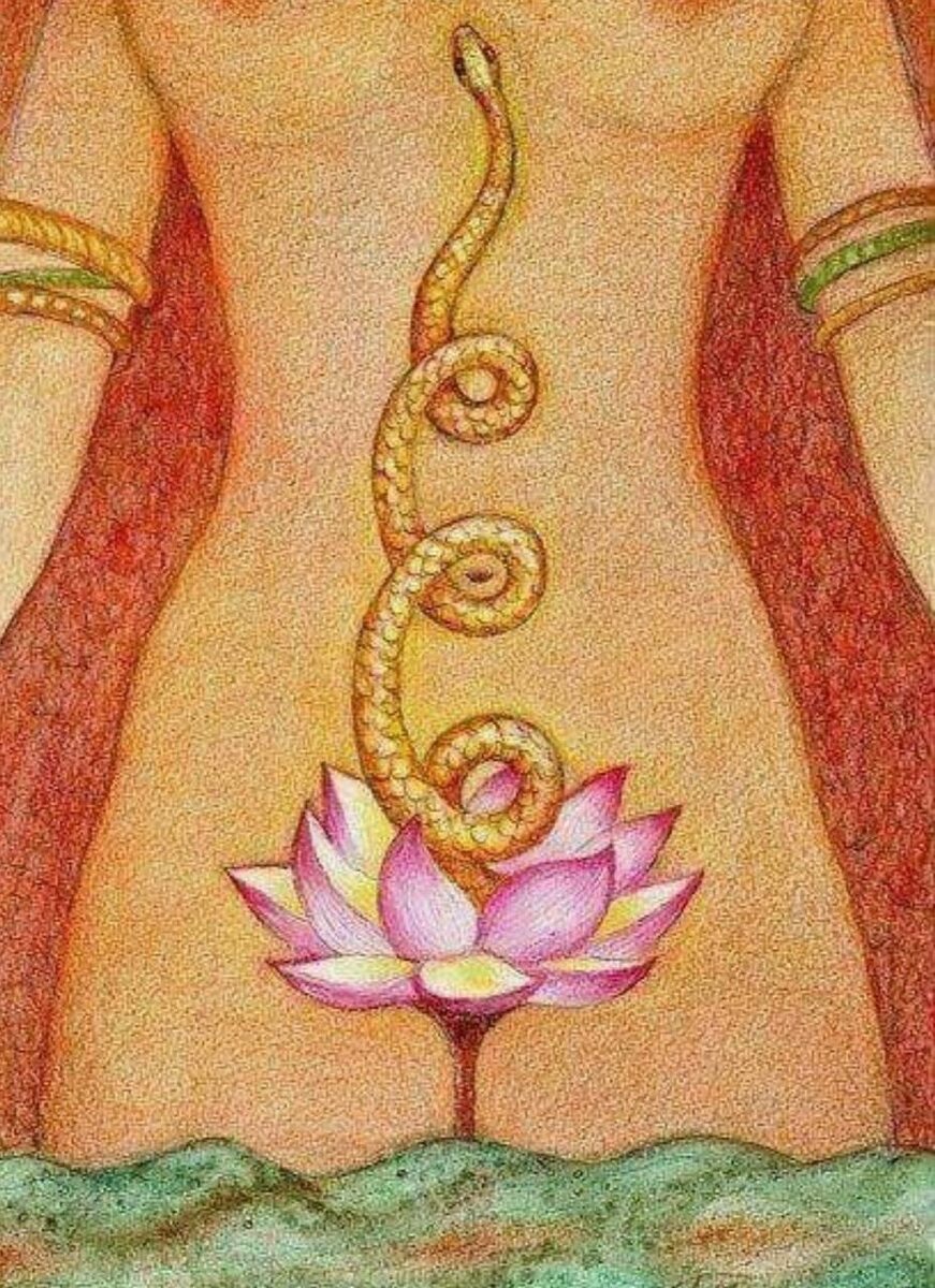 Такое бывает раз в 12 лет

🐍Змея — это древний символ трансформации, пробуждения и силы. В энергии Кундалини змея символизирует жизненную силу, которая свернулась в основании позвоночника, словно спящая змея, готовая пробудиться. Когда эта энергия активируется, она поднимается вверх, поочерёдно «раскрывая» твои центры силы — чакры.

Почему змея?
 1 Трансформация и обновление Змея сбрасывает свою кожу, освобождаясь от старого и становясь новой — это мощный символ перерождения и изменения. Так же работает и энергия Кундалини: она «сжигает» блоки, усталость и застой, открывая дорогу новой тебе — сильной, сияющей и живой.
 2 Связь с землёй и жизненной энергией Змея всегда близка к земле, её энергия — материальная и чувственная, она связывает нас с телом и внутренней силой. Когда Кундалини активируется, ты возвращаешься к своей природе:
 • Появляется энергия жить и творить.
 • Возвращается магнетизм, сексуальность и притяжение.
 • Деньги, отношения и желания начинают «просыпаться» вместе с тобой.

2025 — год Деревянной Змеи Змея в восточной традиции — символ мудрости, гибкости и скрытой силы. Год Змеи — это про глубинное пробуждение и трансформацию. Это время, когда нужно идти внутрь себя, скидывать старое и раскрывать свою внутреннюю энергию на полную.

Именно поэтому КУНДАЛИНИ-марафон перед 2025 годом — это не случайность. Мы запускаем эту силу сейчас, чтобы войти в год Змеи с полностью пробуждённой энергией:
 • Уверенными в себе.
 • Наполненными силой и жизнью.
 • Открытыми к деньгам, любви и возможностям.

Змея просыпается. Пора проснуться и тебе. Присоединяйся к марафону — почувствуй, как энергия начинает двигаться внутри и трансформировать твою жизнь.

🔥Вступай в Усиление: https://alexaonik.com/telegram 2025 — это твой год, если ты готова пробудиться✨