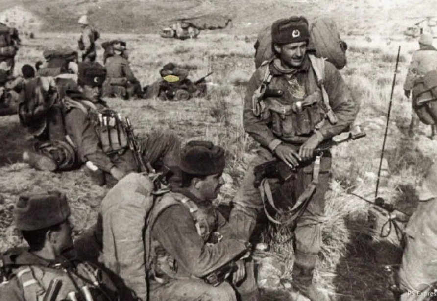 фото из интернета.