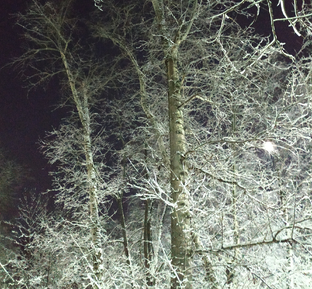 Просто зимняя красота