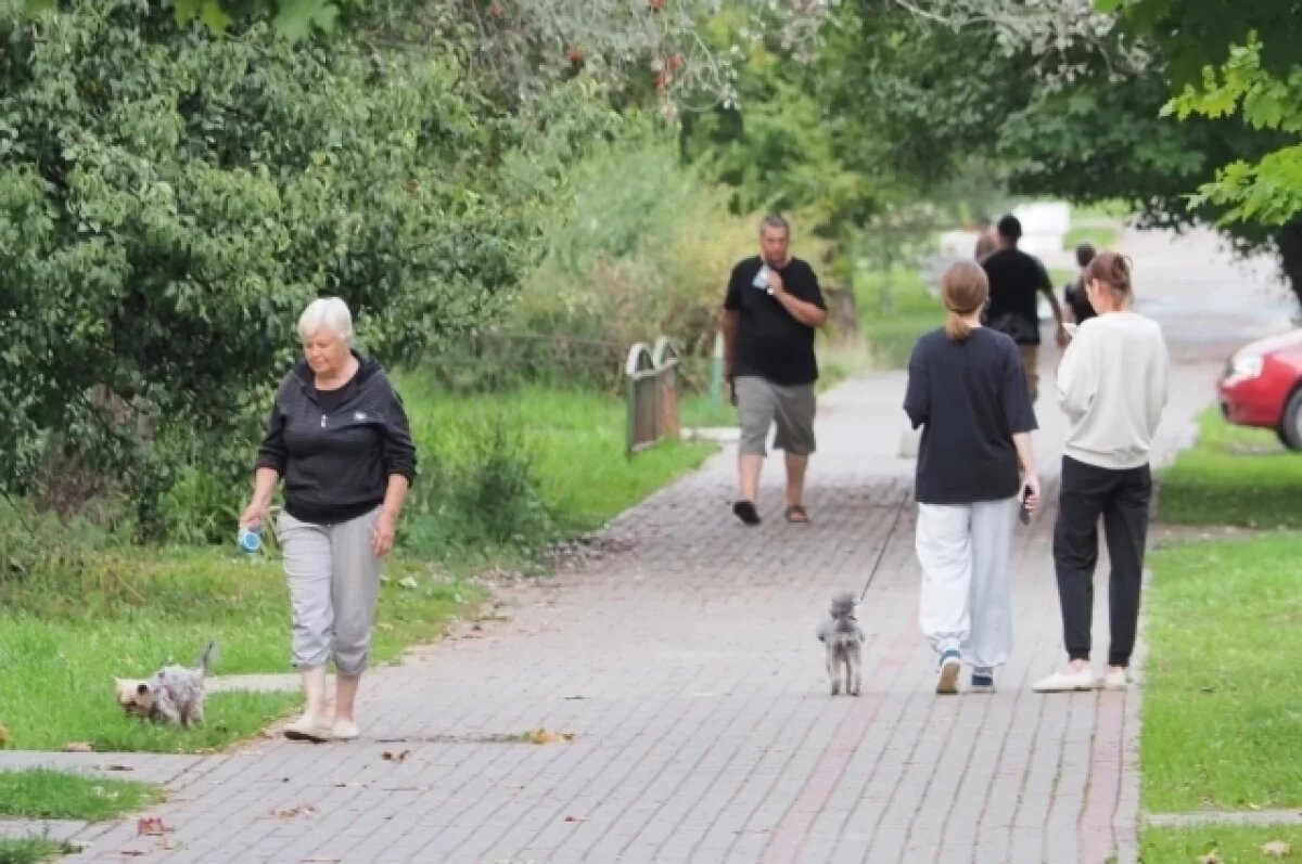    В Калужской области может появиться реестр домашних животных