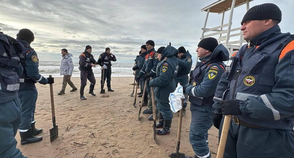    губернатор Краснодарского края Вениамин Кондратьев / Telegram