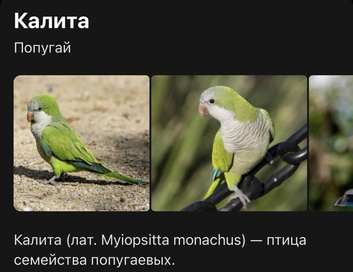 Фото из Википедии