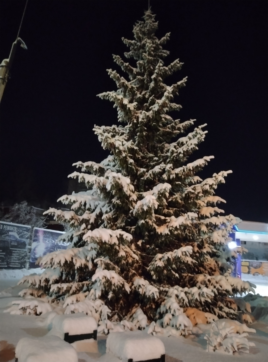 Вот такая красота сейчас у нас в городе. Все деревья укрыты снегом, как в сказке.