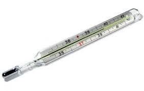 Фото из интернета (открытый источник)