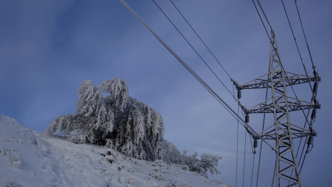    Nikolay Titov/Global Look Press