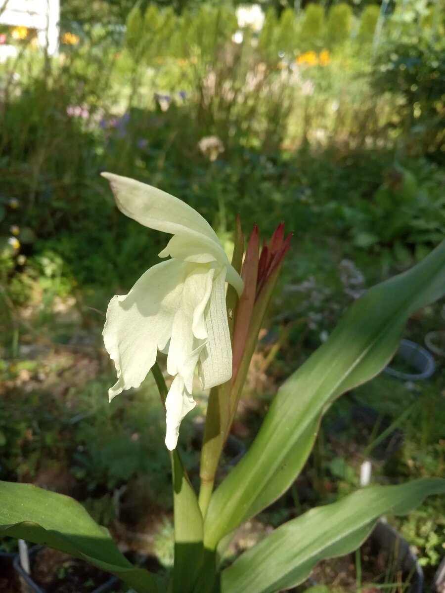 Фото интернет