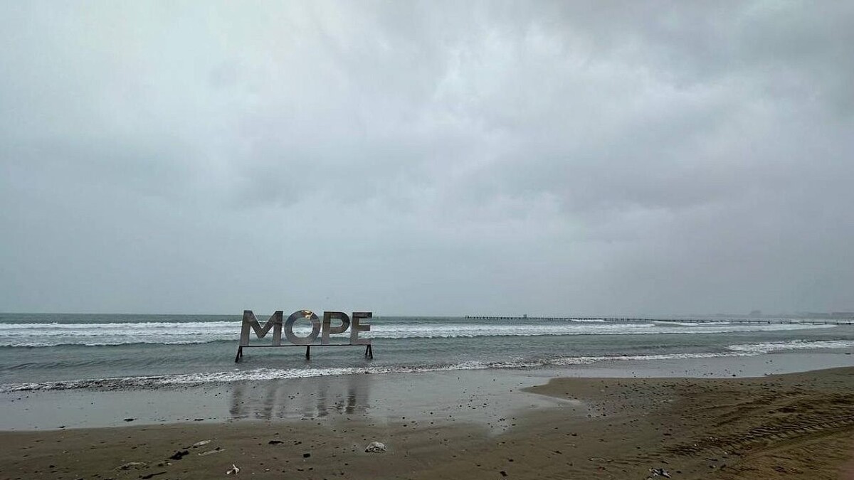    Фото: телеканал «Краснодар»