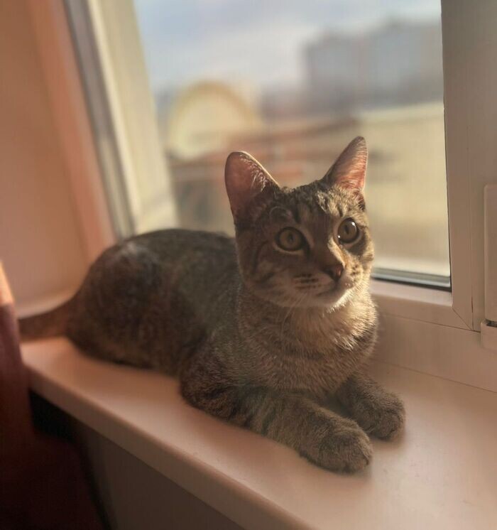 Листайте вправо, чтобы увидеть больше изображений