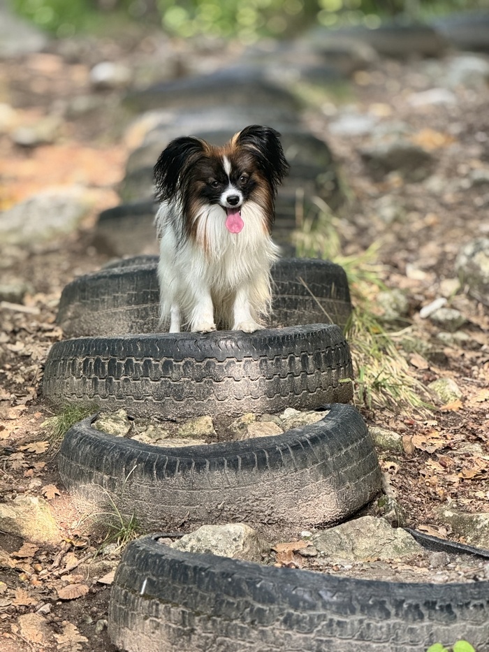 Листайте вправо, чтобы увидеть больше изображений