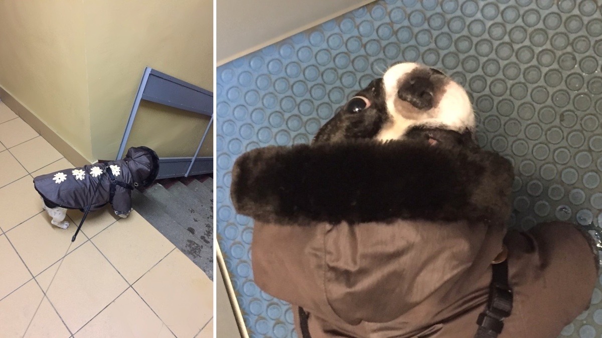 Пальто я когда-то шила 😄