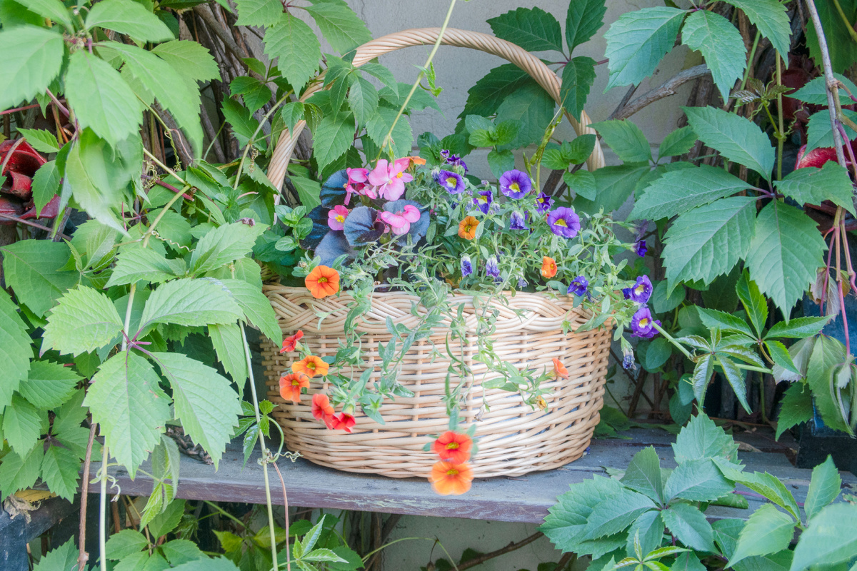 Sergey Pavlov / iStock