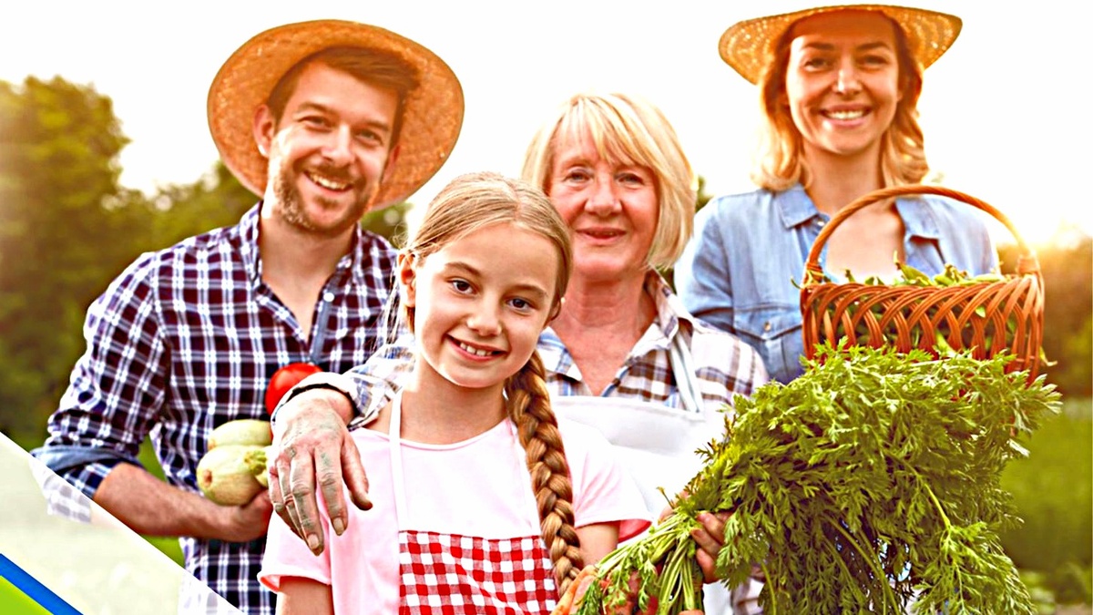 Социальный контракт