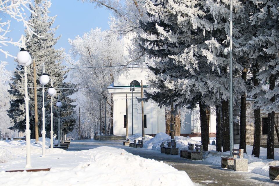    Зима в Барнауле, изморозь на деревьях. Источник: Виталий Барабаш