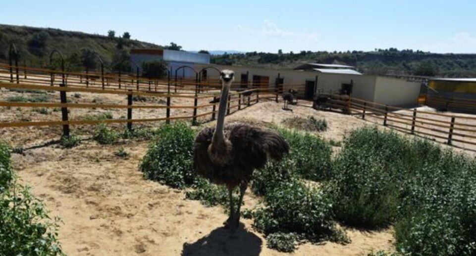    РИА «Новости»