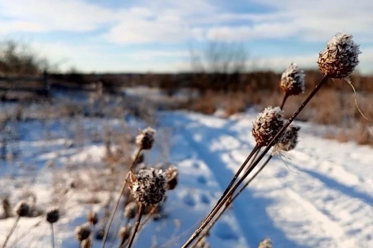    Потепление начинается: какая погода будет в Хабаровском крае 18 декабря