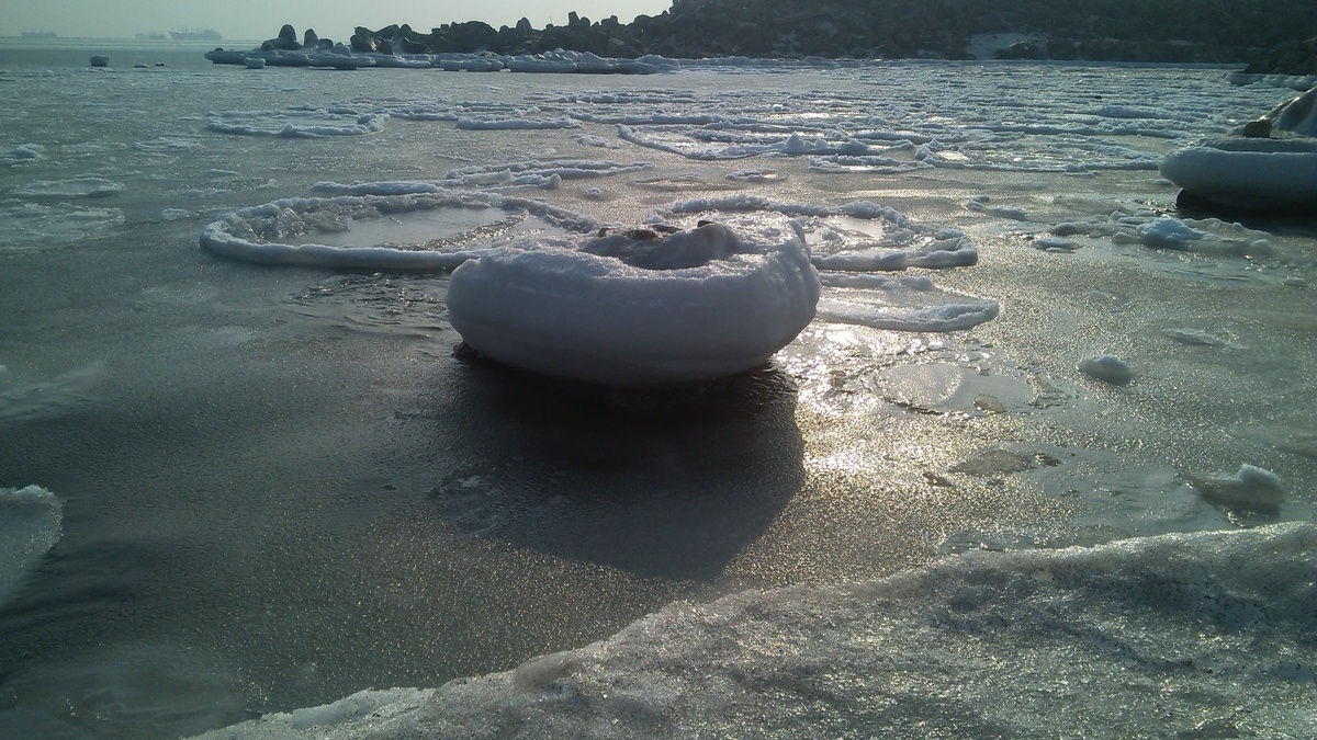     Источник: vostokmedia.com