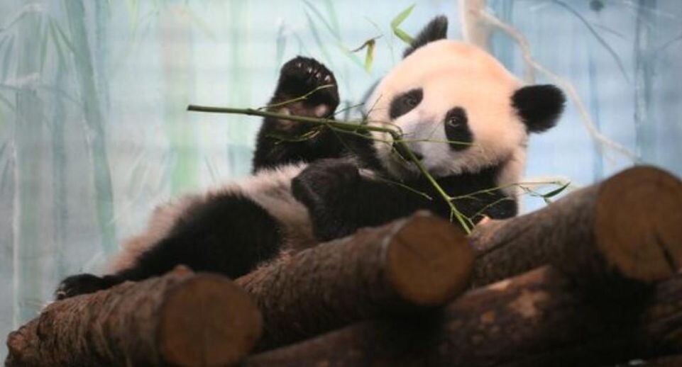    РИА «Новости»