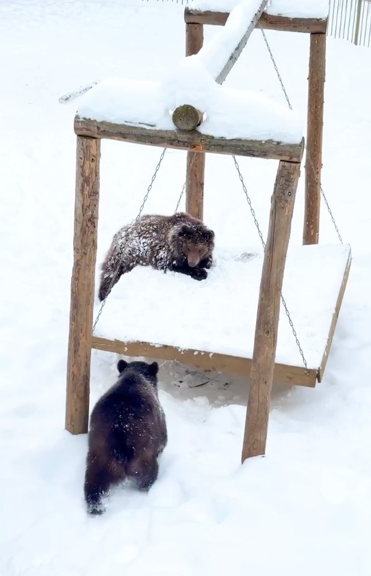 Фото: скриншот с видео из телеграм-канала центра «Земля прайда»