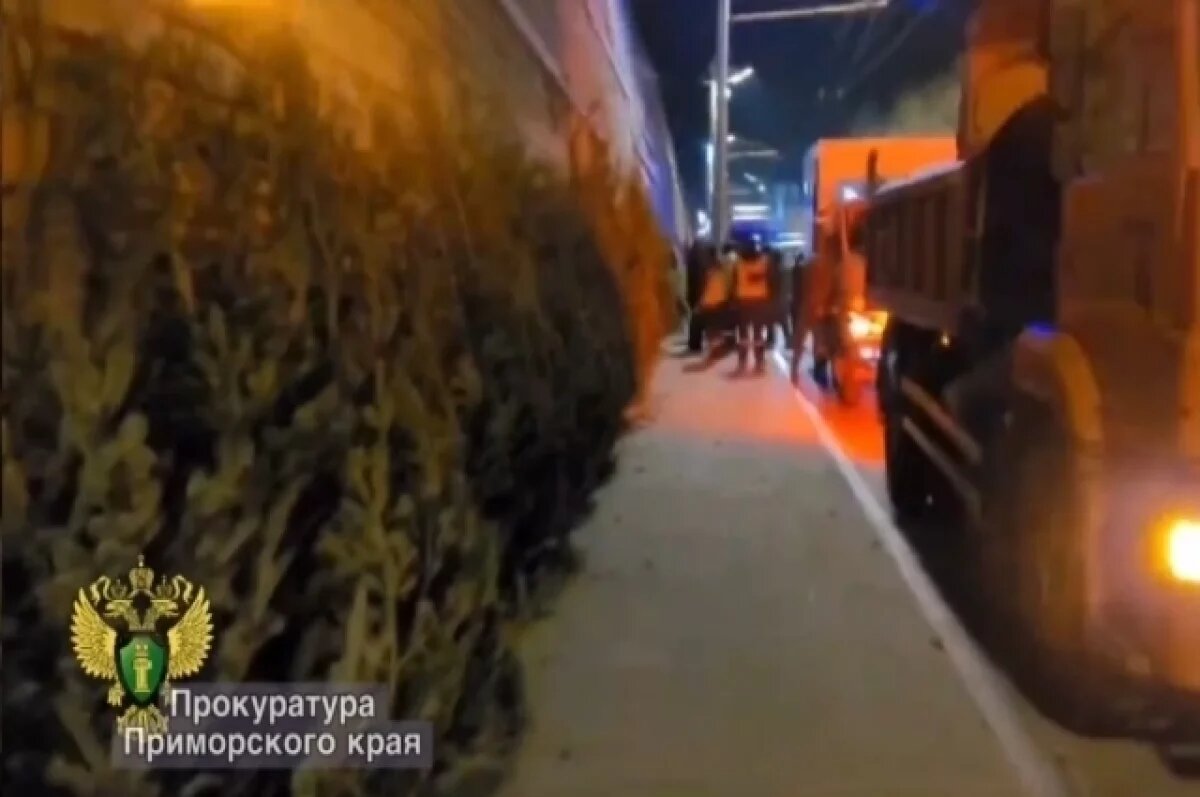    Снова появившийся незаконный елочный базар во Владивостоке