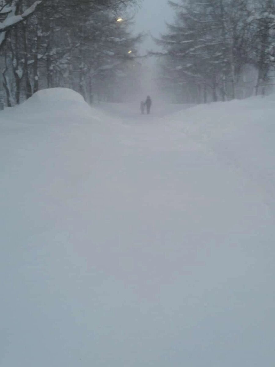    Последствия снежного циклона в Охе Фото: Оха65.ру/ О