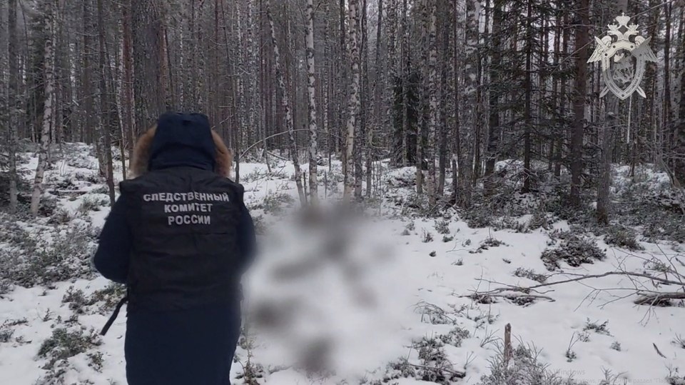 Фото: t.me/su_skr10